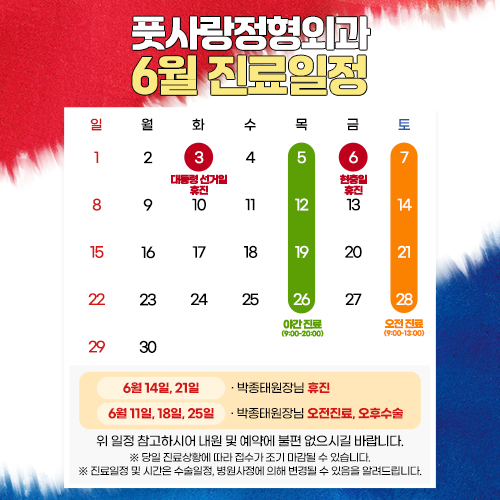 6 월 진료일정