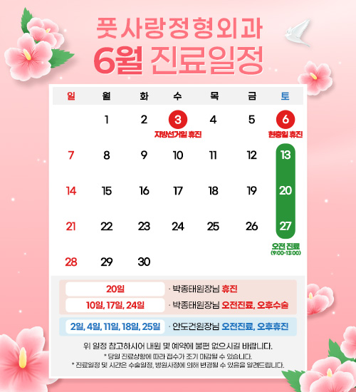 6월 진료일정