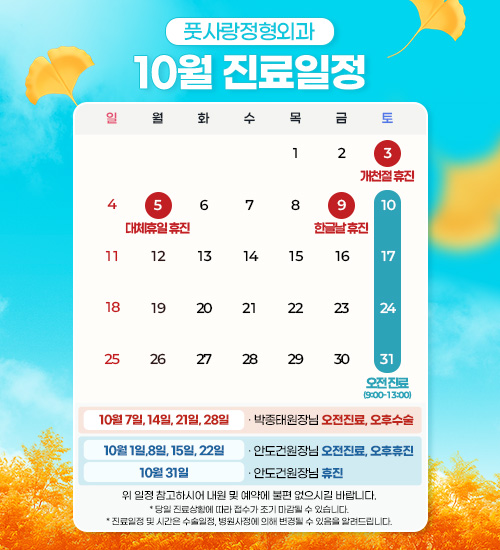 진료일정